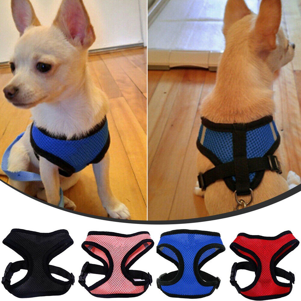 Đai yếm lưới mềm mại huấn luyện chó Chihuahua