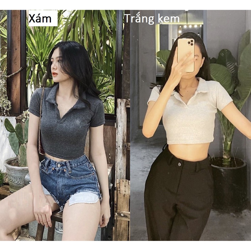 [Mã WASTUP giảm 10% tối đa 30K đơn 99K] ÁO THUN CROPTOP NGẮN - ÁO KIỂU CRT ULZANG NGẮN TAY TRƠN BASIC CỔ BẺ PETER 137 | BigBuy360 - bigbuy360.vn