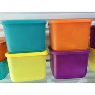 Hộp bảo quản thực phẩm Medium Summer Fresh- Tupperware