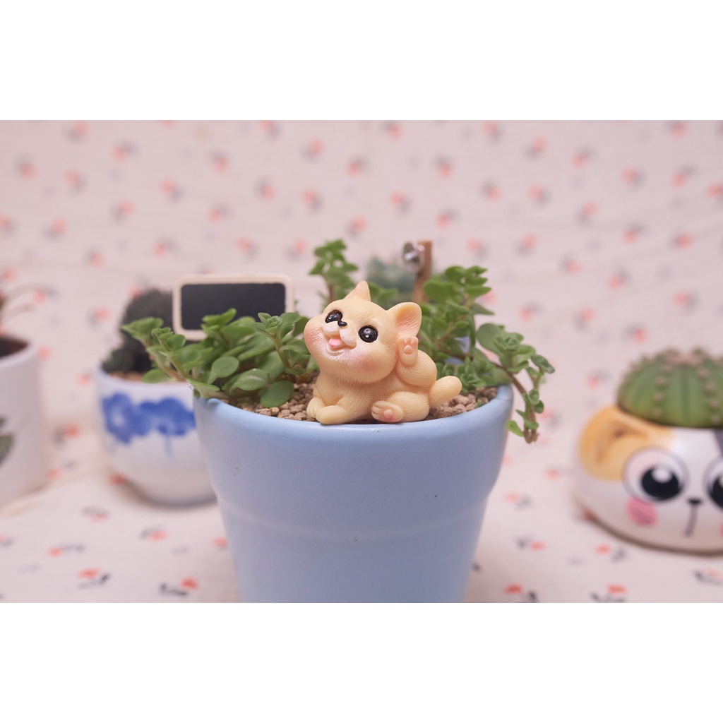 Phu kiện Chú Chó Shiba mắt to