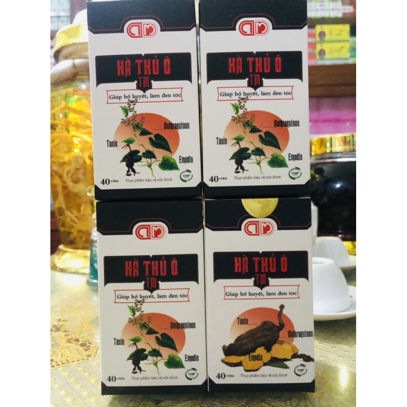 HÀ THỦ Ô TM