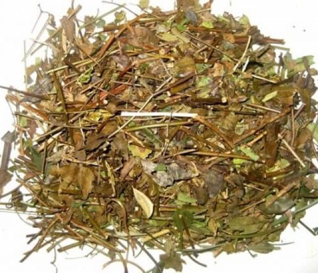 Combo 2Kg lá chè vằng sẻ sao khô lợi sữa giảm béo