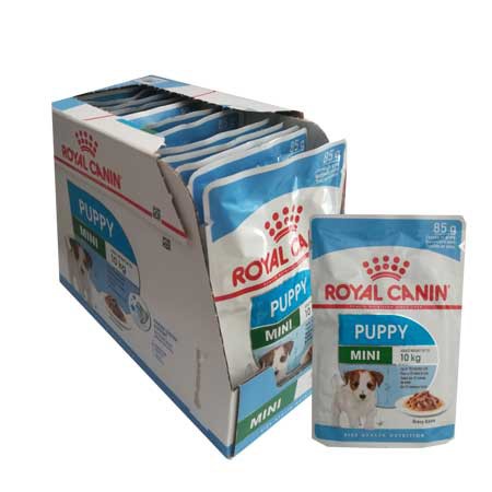 pate Royal Canin Mini Puppy chó con