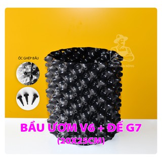 BẦU ƯƠM V6 + ĐẾ G7 (Đường kính 20cm x Cao 25cm ) - combo kèm đinh ốc