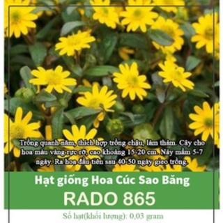 Hạt giống hoa cúc sao băng 865