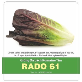 Xà lách Romaine tím (2g)