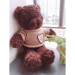 ẢNH THẬT - Gấu Teddy lông xoăn áo len