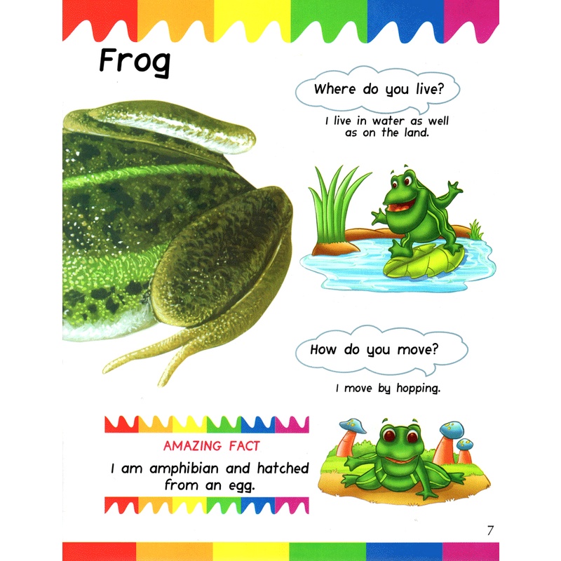 Sách My First Questions &amp; Answers - Reptiles &amp; Amphibians