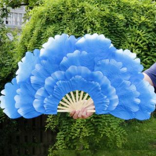 Quạt múa biểu diễn...