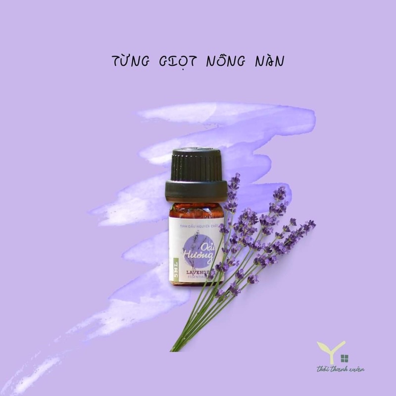 Tinh dầu oải hương (Lavender)