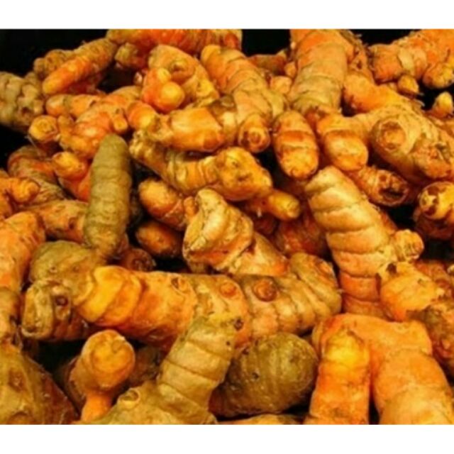 Củ Nghệ Vàng - Củ  Nghệ Đen
