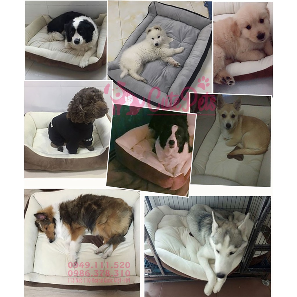 Đệm hình xương vải lông cho cả chó nhỏ và vừa - CutePets Phụ kiện chó mèo Pet shop Hà Nội