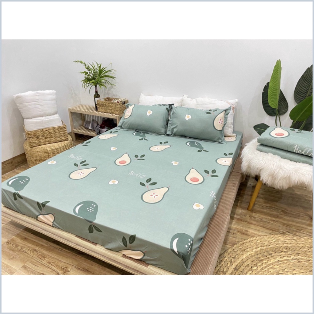 Ga + Gối poly sét 3 món poly cotton không xù không phai màu - Sét 3 món ga bo chun + 2 vỏ gối Ấm Êm Decor - Dứa Official | BigBuy360 - bigbuy360.vn