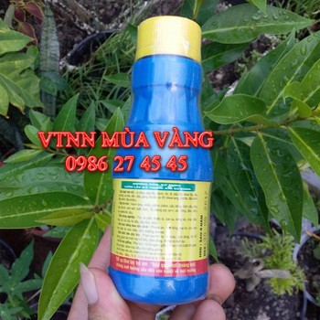 Phân bón lá vitamin B1 GROWMORE chuyên Phong lan và Hoa kiểng chai 100ml giá 22k