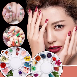 Sét Hoa Khô Trang Trí Nail Hỗn Hợp Khay Tròn