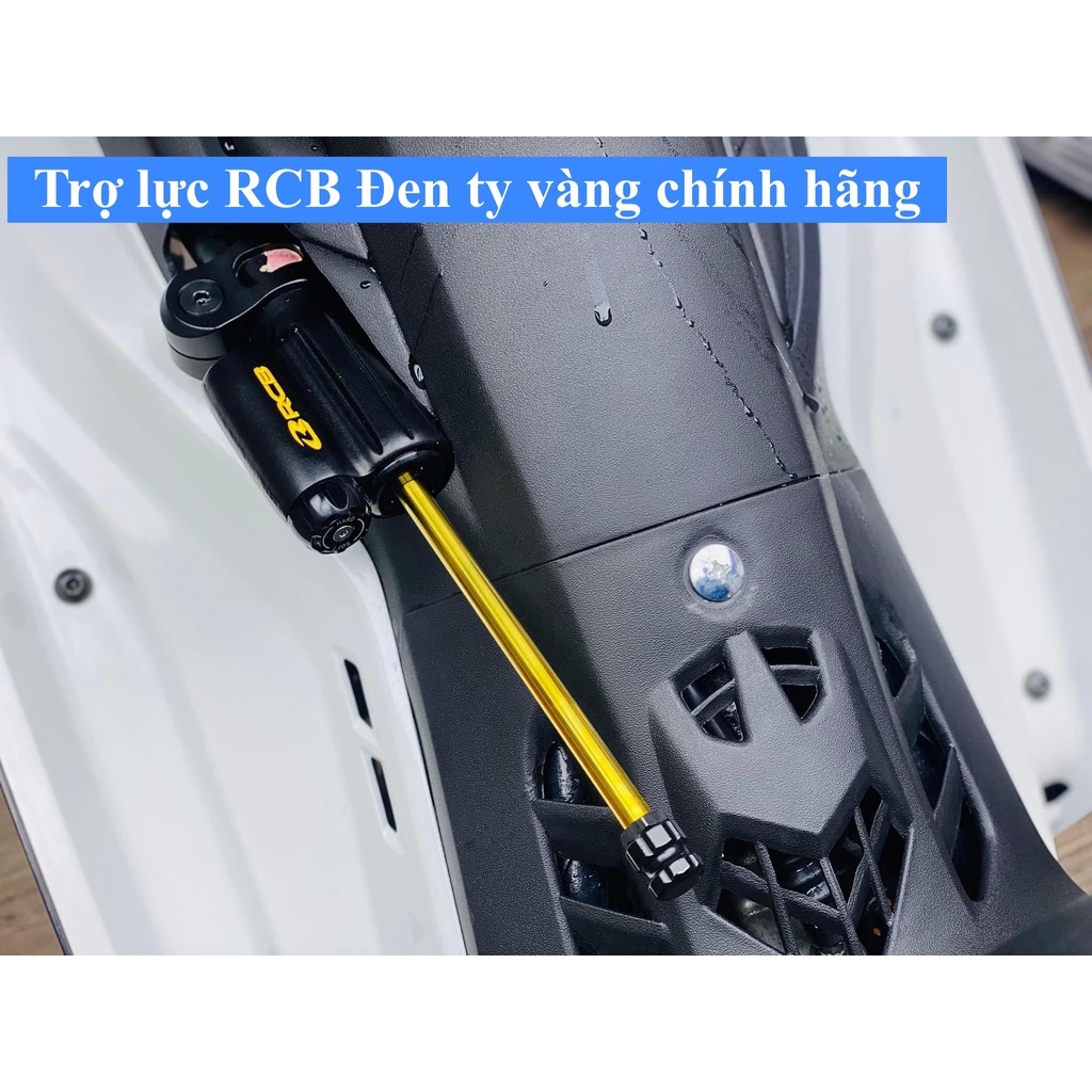 Trợ lực RCB đen ty vàng Apex Pro sườn, cổ chính hãng