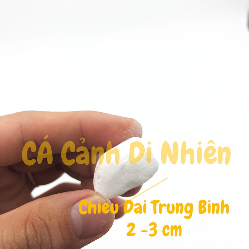 Bịch sỏi TRẮNG 1 KG size 2 - 3 cm trang trí hồ cá cảnh