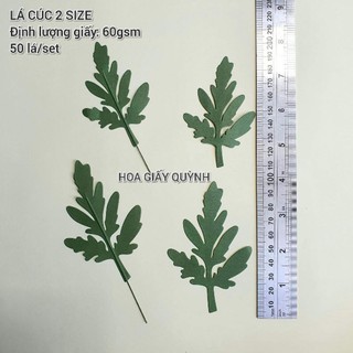 Set 50 lá cúc 2 size cắt sẵn