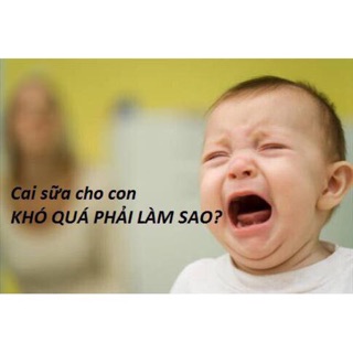 Mẹo cai sữa gia truyền 4 đời