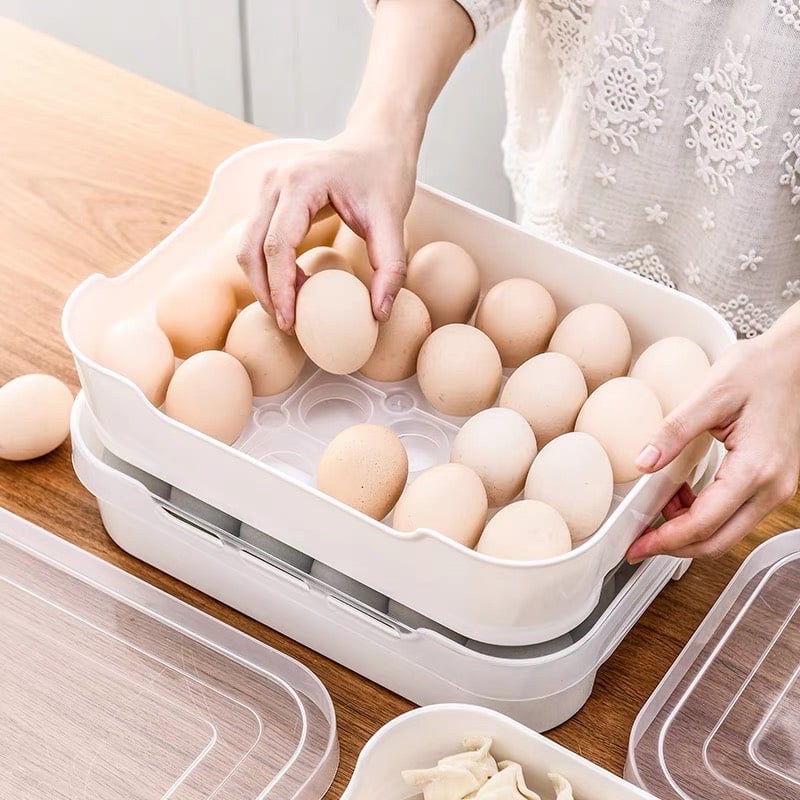HỘP ĐỰNG TRỨNG 1 TẦNG 24 QUẢ