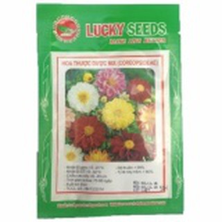 Hạt giống Thược dược mix - Lucky