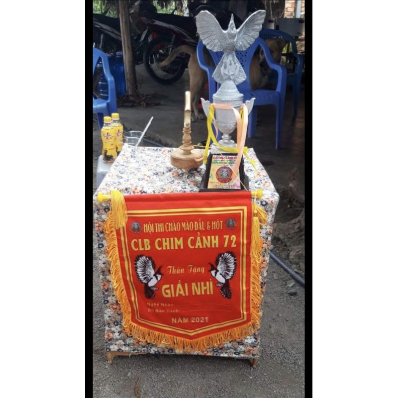 Hạt Cào Cào Căng Lửa Phú Vinh