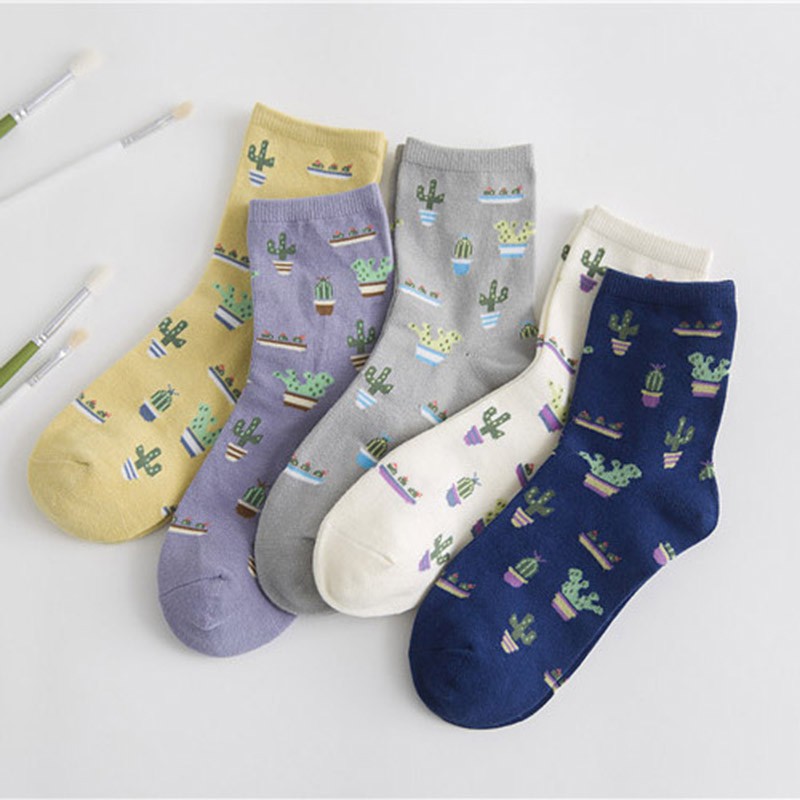 Vớ Cotton In Hình Cây Xương Rồng Dễ Thương