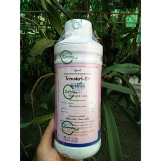 Phân bón B1 - Thái Lan 1000ml