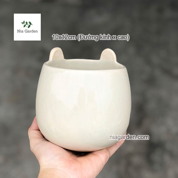 Chậu cây men rạn chó xám mắt tròn trồng cây để bàn Nia Garden N4