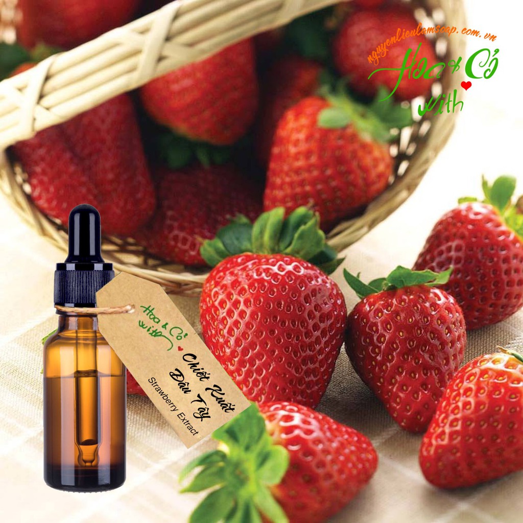 Chiết Xuất Dâu Tây ( Strawberry Extract )