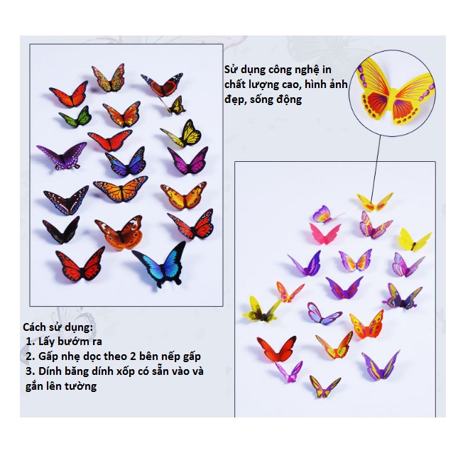 Decan bướm 3D | BigBuy360 - bigbuy360.vn
