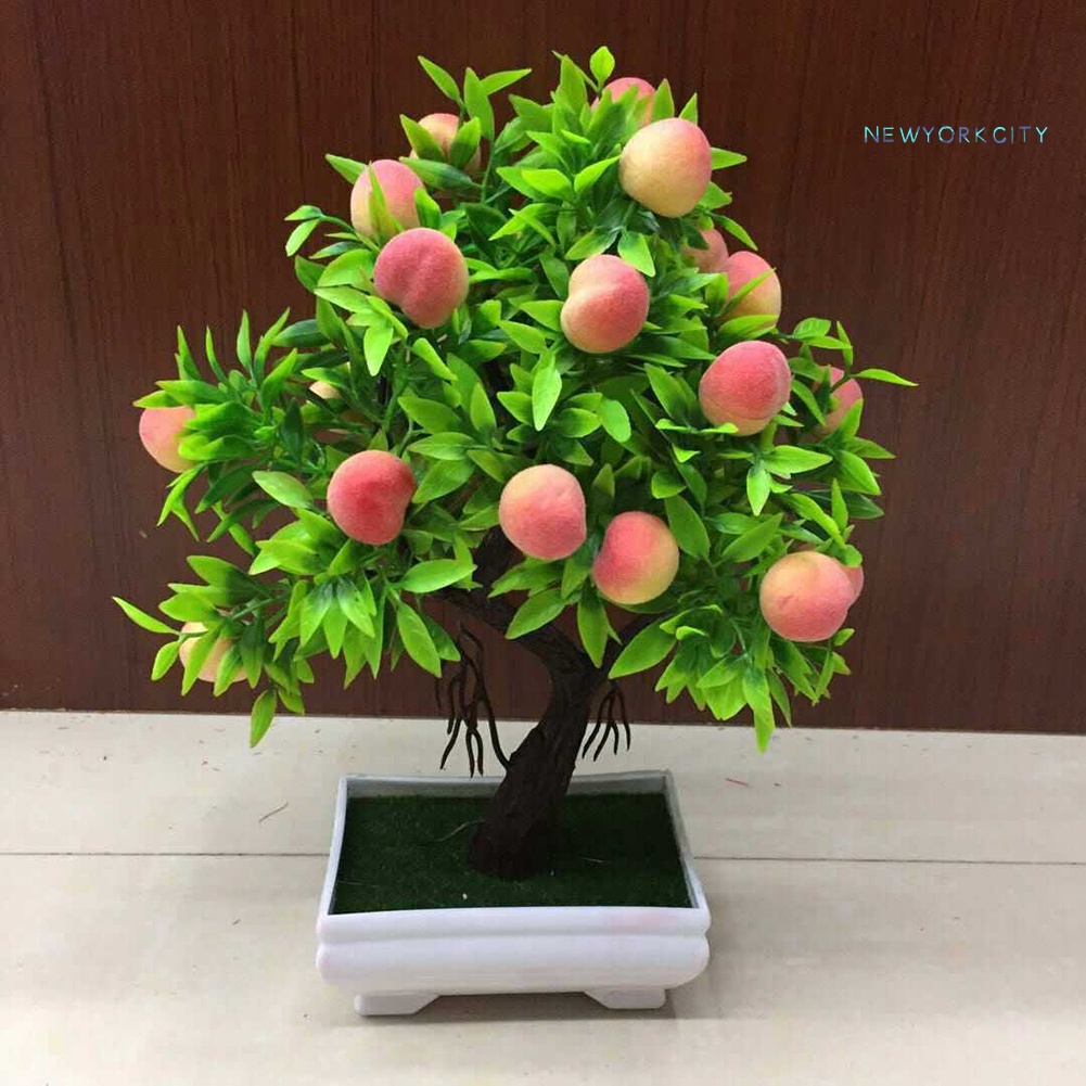 Chậu Cây Bonsai Giả Bằng Nhựa Tự Nhiên Dùng Trang Trí Nhà Cửa