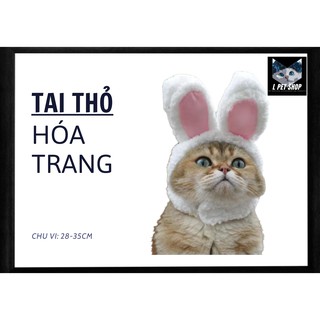 TAI THỎ ĐEO CHO CHÓ MÈO DỄ THƯƠNG(KÈM HÌNH THẬT)