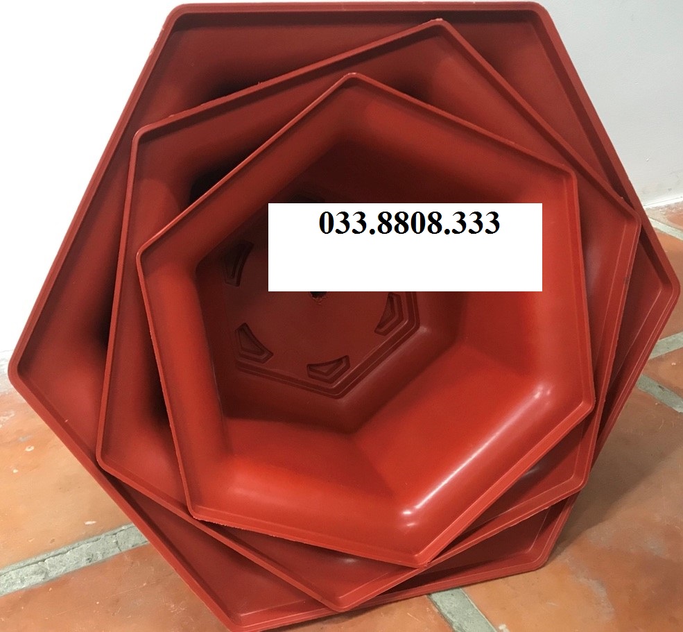 10 chậu nhựa lục giác trồng cây 250x150 - Chậu đẹp bền rẻ chuyên trồng cây cảnh.
