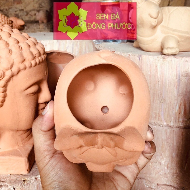 Chậu đất nung hình heo buộc nơ -  trồng sen đá xương rồng, cây văn phòng- Sen Đá Đông Phước