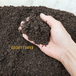 Phân bò hoai mục đất sạch