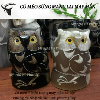 Cú mèo sừng - biểu tường may mắn của Nhật Bản và các nước phương Tây