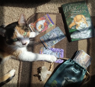 Bài Mystical Cats Tarot