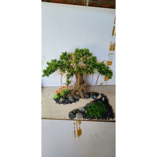 Bonsai hồ cá (gỗ lũa ) có 2mẫu