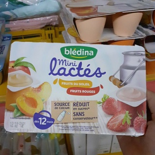 sữa chua hữu cơ bledina Pháp ( đủ các vị )
