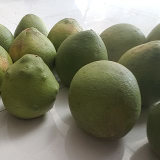 Combo 5 quả buoi 5 doi
