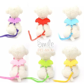 Dây dắt kèm yếm hình đôi cánh thiên thần cho chó mèo, thú cưng - Smile Pet Shop