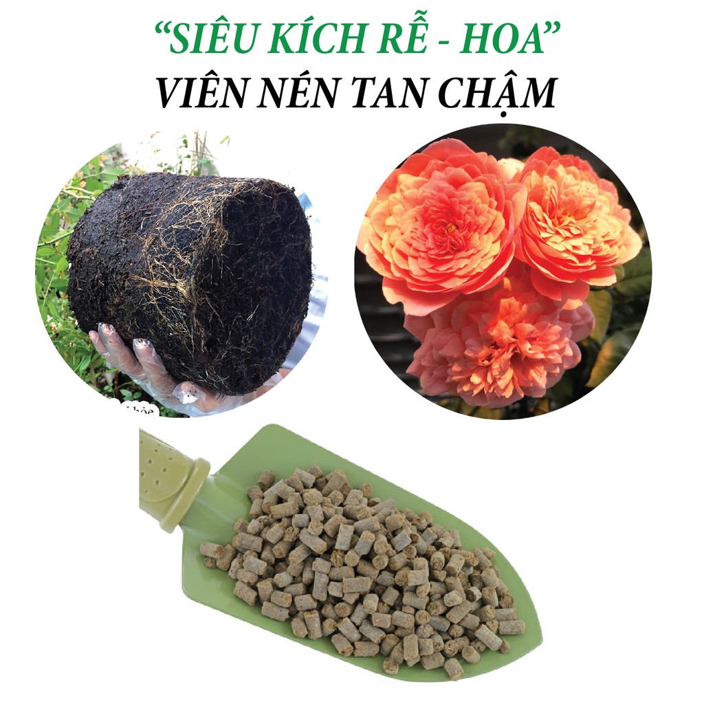 Phân bón hữu cơ rong biển DOCNEEM túi 1kg, kết hợp neem cake kích rễ mầm lá, cho Hoa hồng, phong lan, cây cảnh, rau sạch