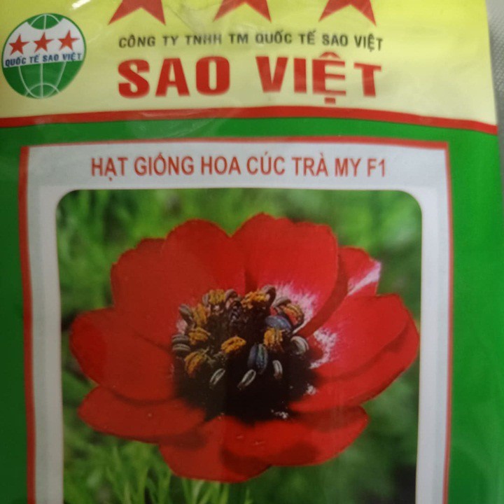 Hạt giống hoa cúc trà my