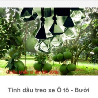 Tinh dầu treo xe nguyên chất Loda