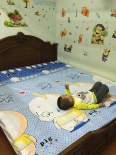 Bộ ga gối cotton poly