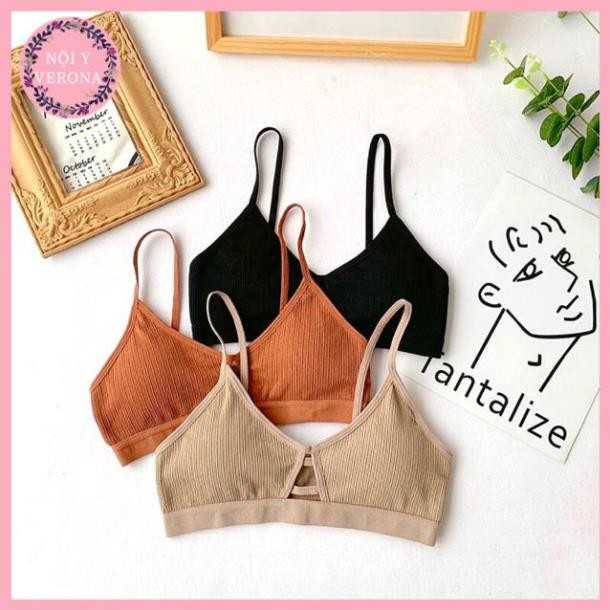 Áo Bralette Thun Gân Tăm Mẫu Mới Hot Hit (8882) Verona Shop