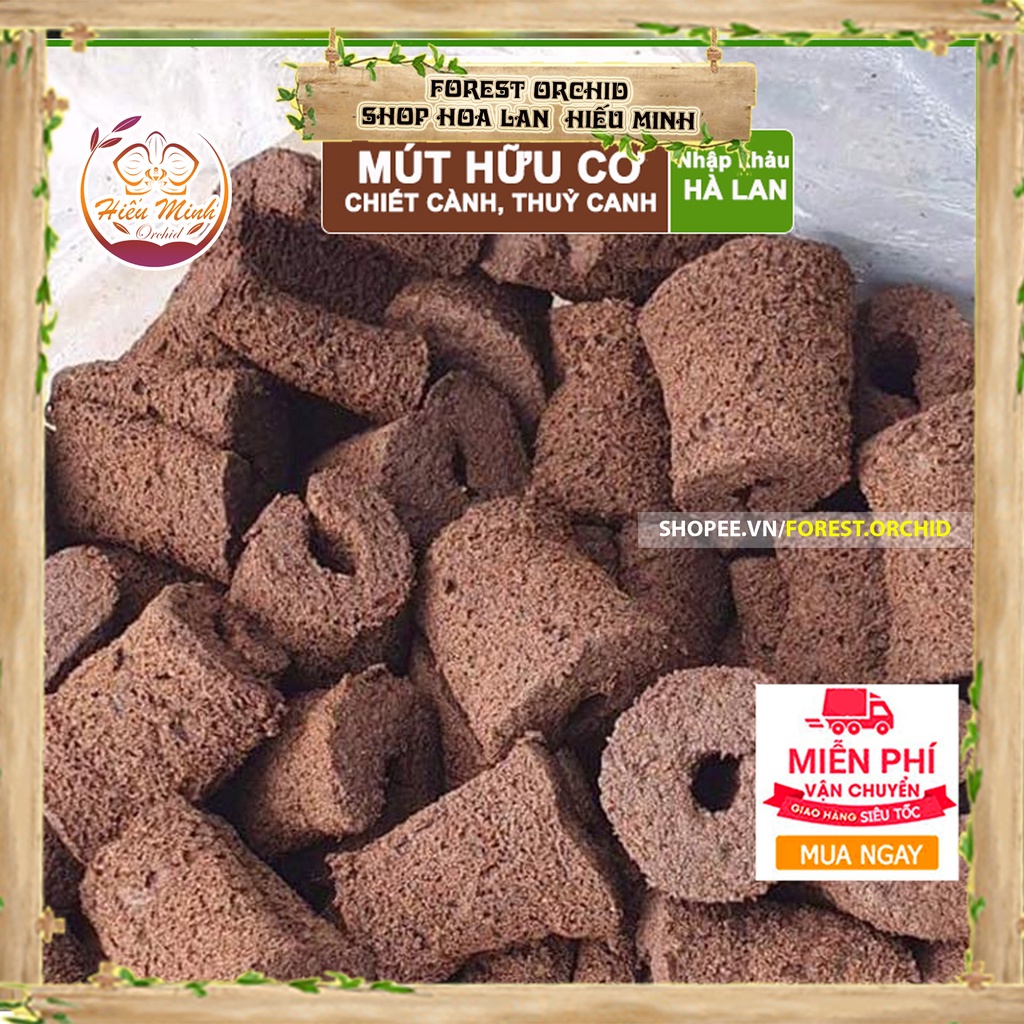 Mút Ươm Kei Hà Lan, cho Hoa, Lan ,loại , TỐT, Thuốc,Làm, cây cảnh và hạt giống, Bền, Đẹp, Xanh, Sống, Chất,Lượng