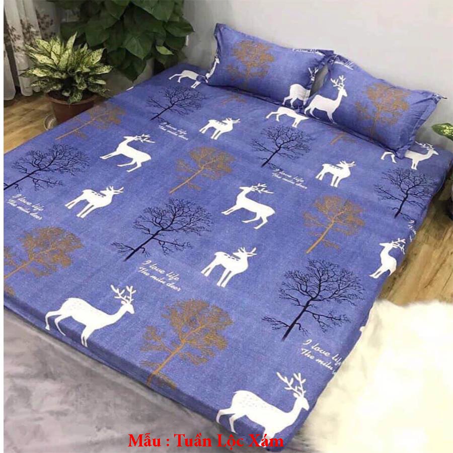 Bộ Ga gối Cotton Poly Emmidecor Các Mẫu các con vật