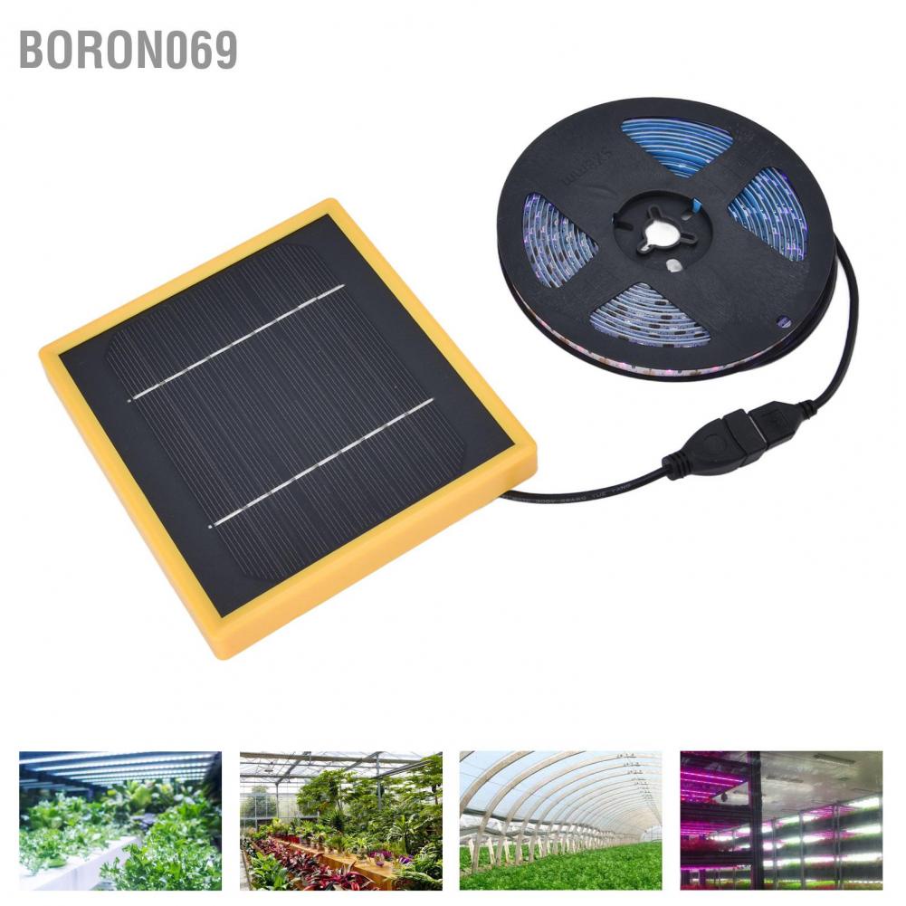 Dải Đèn LED Năng Lượng Mặt Trời 5W Phát Sáng Cho Cây Trồng Boron069